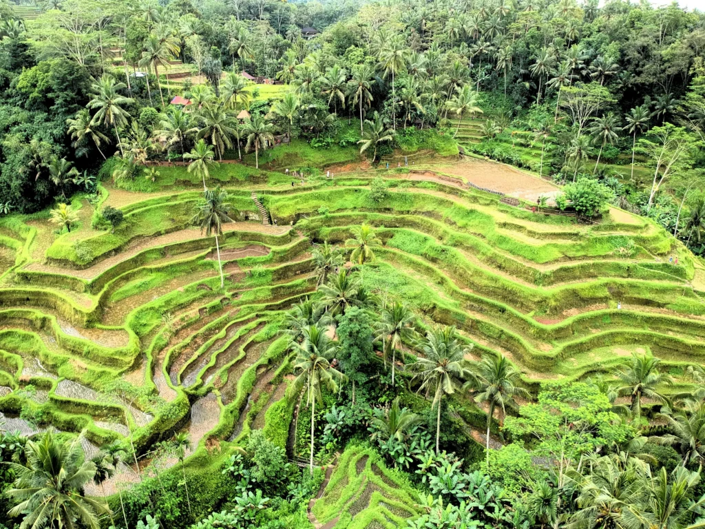 Jaens Spa - The Art of Wellbeing - https://dev.jaensspa.com/wp-content/uploads/2026/02/cropped-Logo-Spa-Center.png